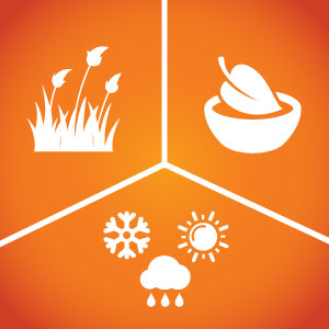 ingredients found in nature approved for organic gardening and can be used any time of year