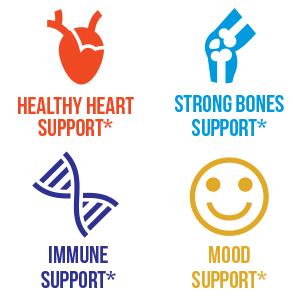 bone support