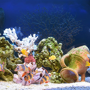 viparspectra led aquarium light