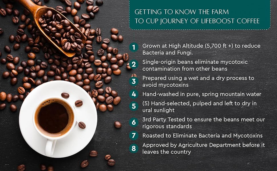 Medium Roast Whole Bean Coffee