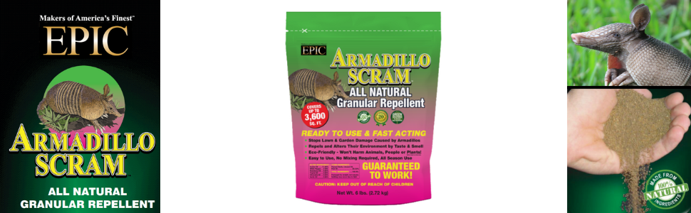 Armadillo
