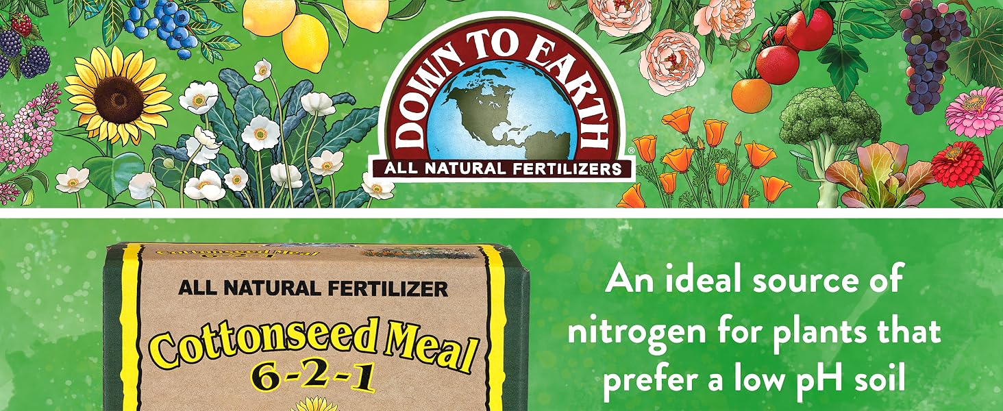 Cottonseed Meal 1