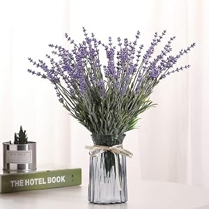 lavender flowers