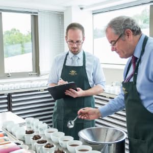 tea cognitive function