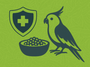 bird pellets bird food food for budgies