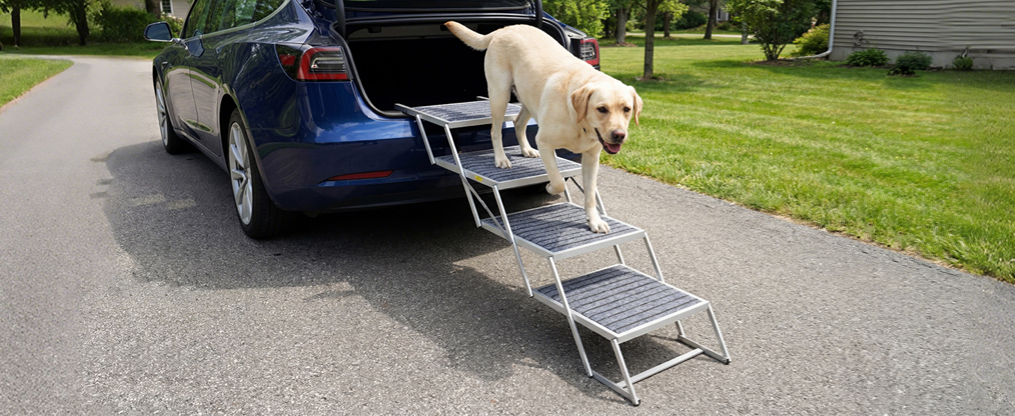 wide dog stairs