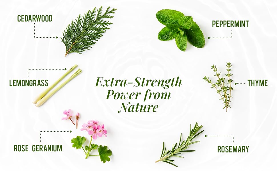Natural tick spray ingredients: cedarwood, peppermint, lemongrass, thyme, rosemary