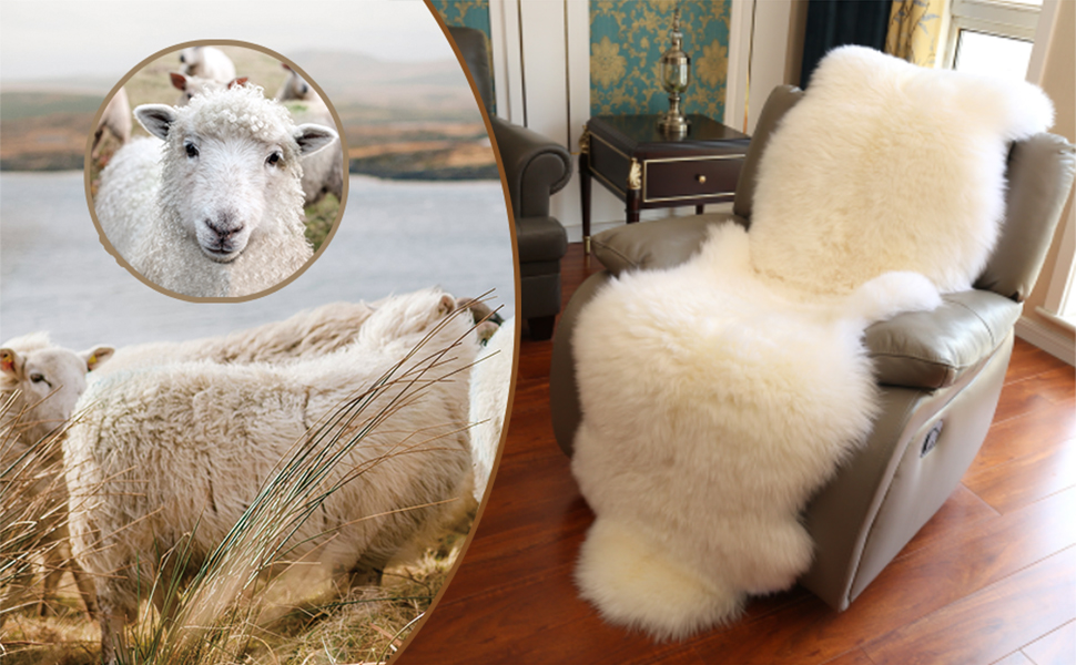 sheepskin