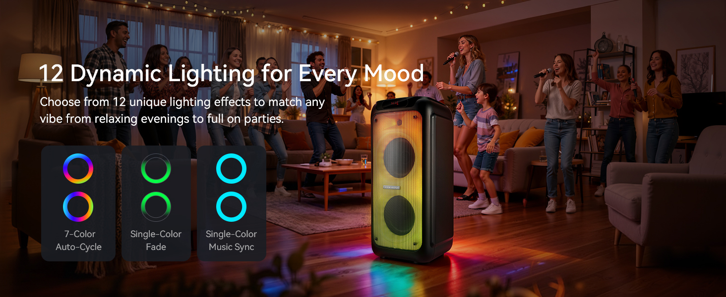 Karaoke Machine for Adults