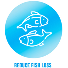 nite-out II fish loss