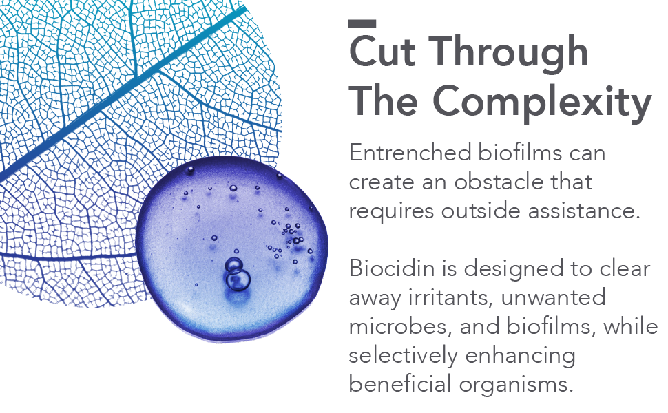biofilm disruptor support