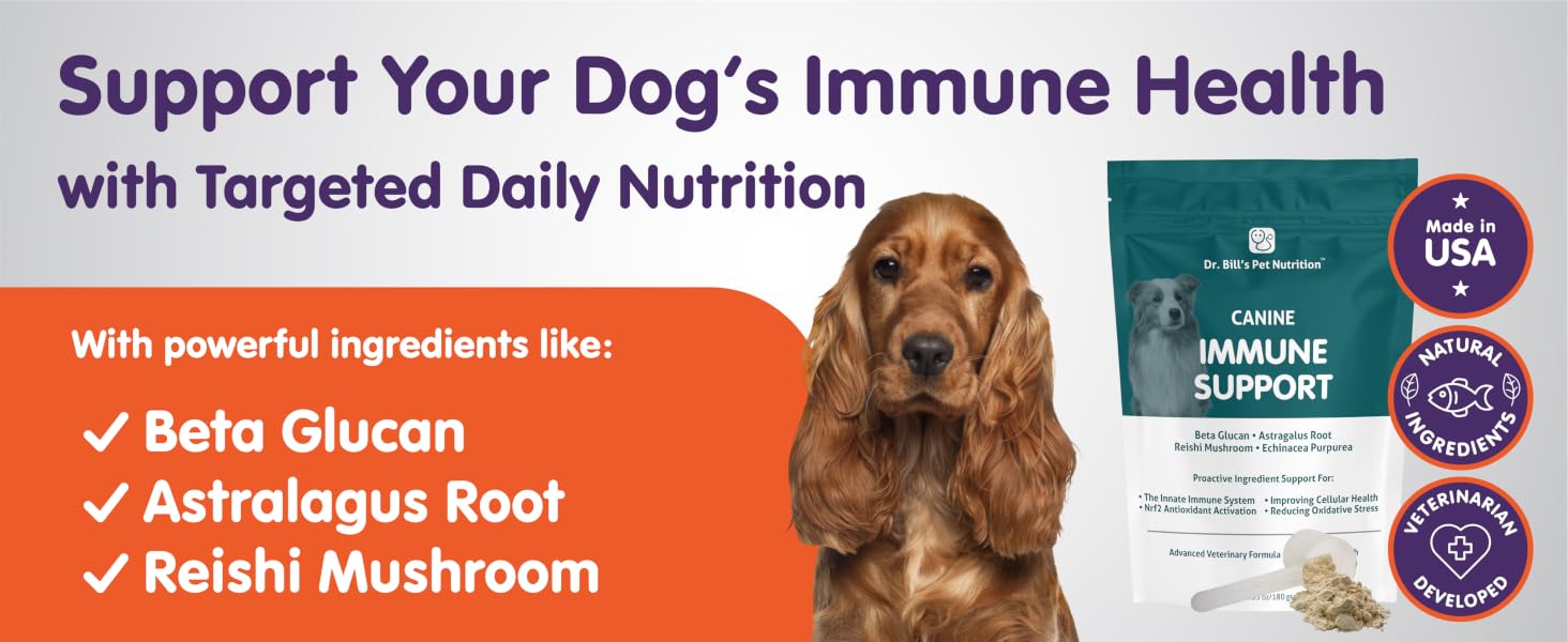 holistic dog cancer treatment,critical immune defense for dogs,critical immune defense dogs,k9