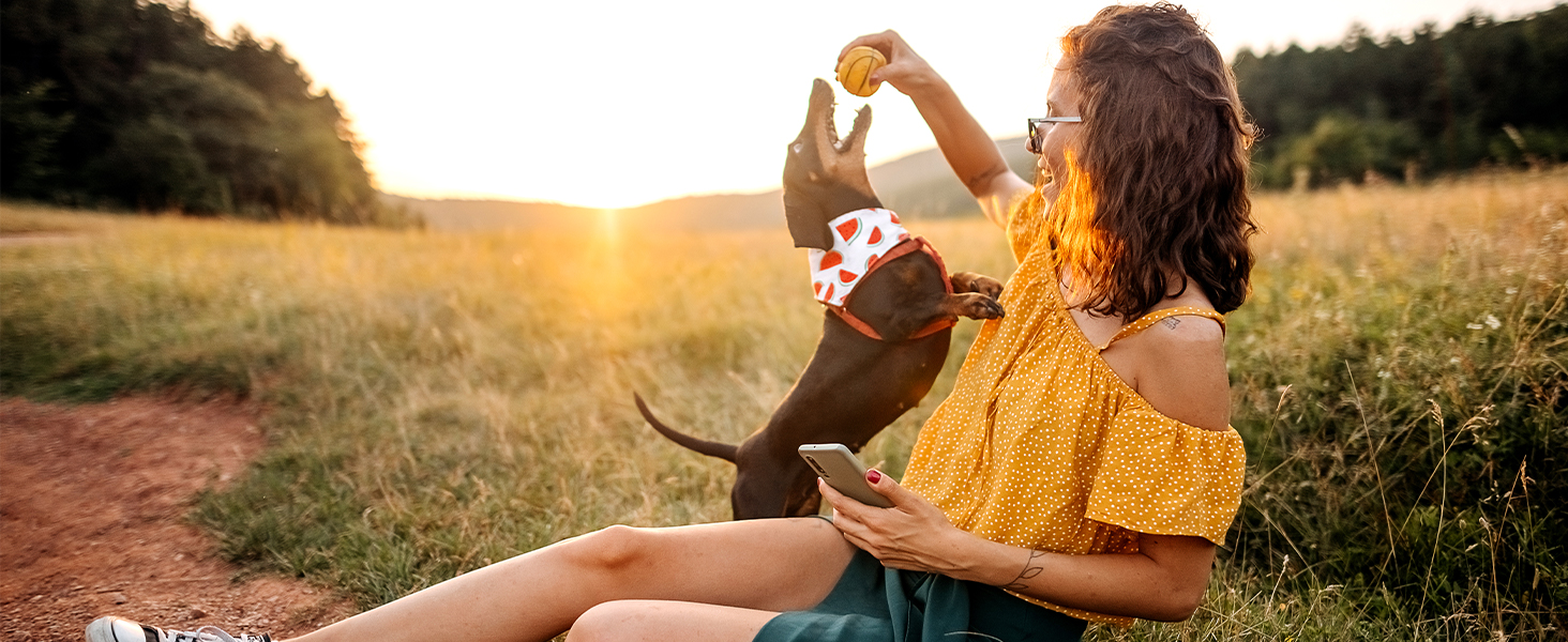 dog bladder support, urinary health, incontinence relief, cranberry chews, senior dog supplement