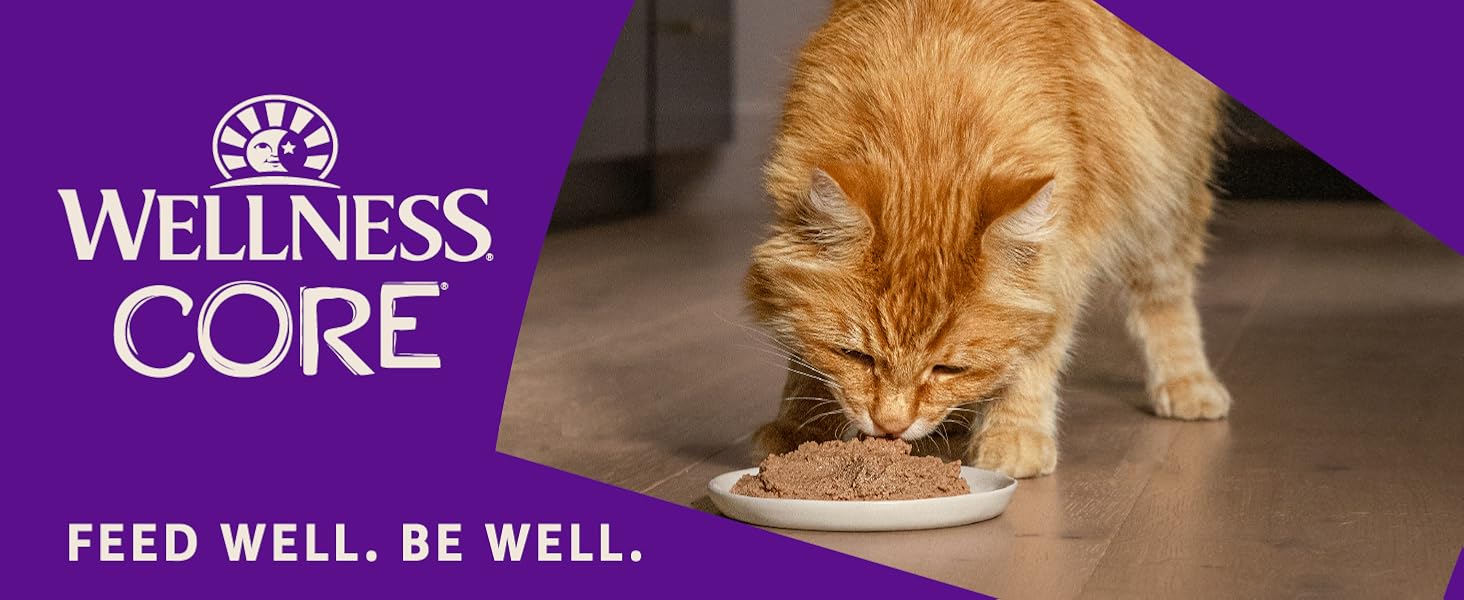 Wellness CORE Wet Cat Food
