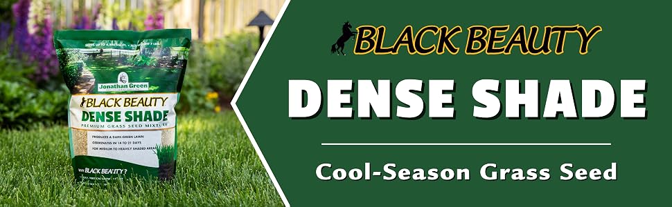 jonathan green black beauty dense shade grass seed
