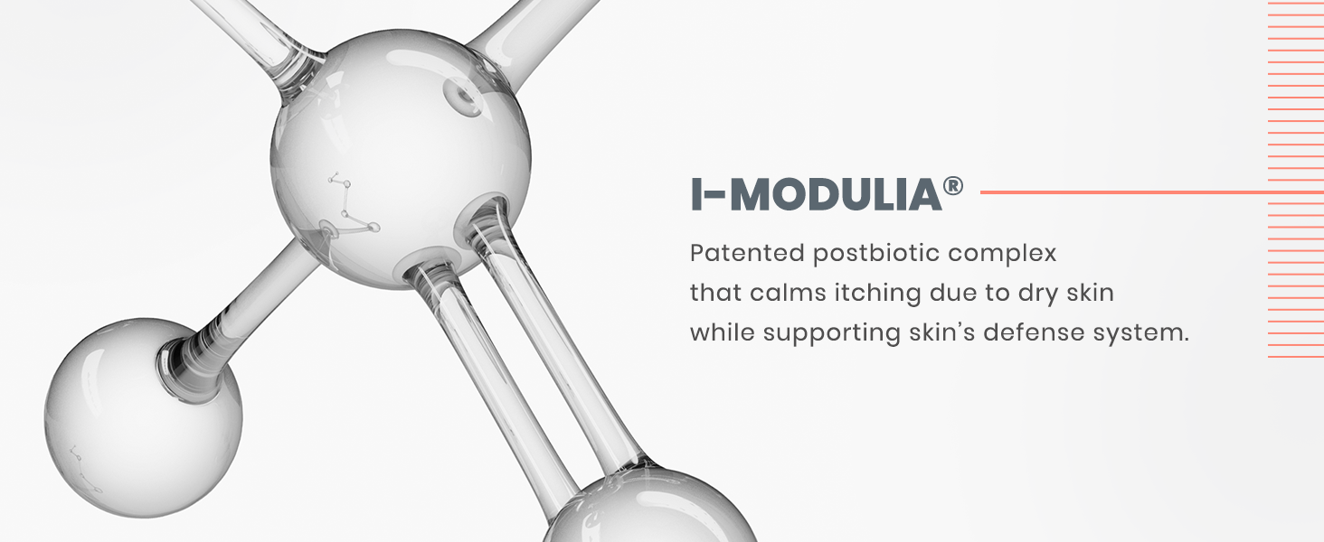 I-Modulia