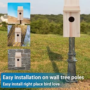 bird house outdoor for bird