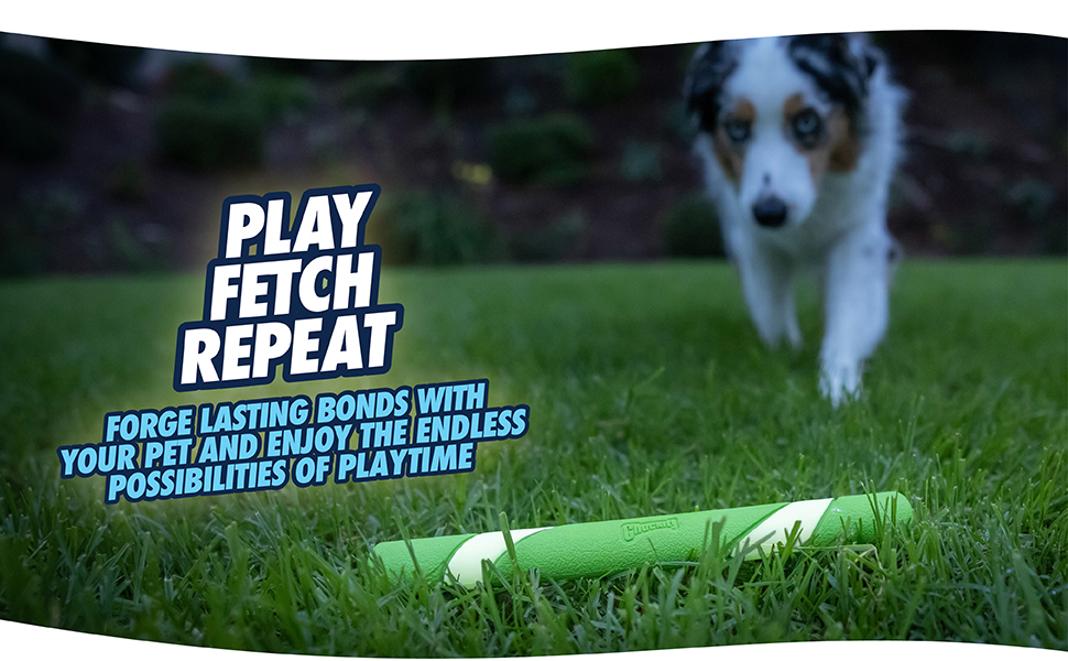 play fetch repeat forge lasting bonds with your pet and enjoy endless possibilities of playtime