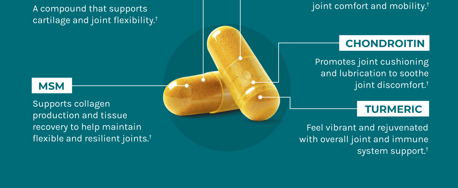joint support supplements