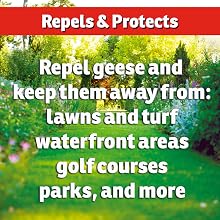 repels geese and protects lawn