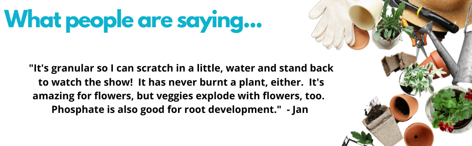 Reviews say that plants are bigger and better than ever before! Apply and see for yourself!