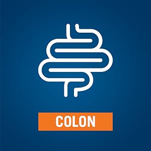 Colon