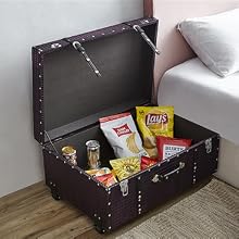 Designer Wheeled Trunk from DormCo - Versatile Storage Trunk with Carrying Handle for easy dorm use