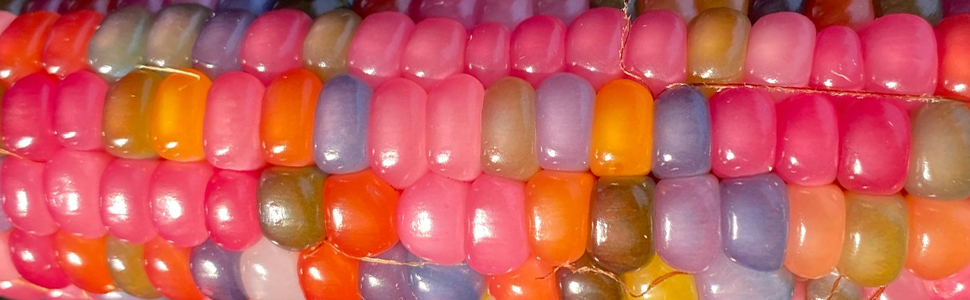 Glass Gem