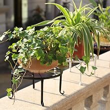 Metal Plant Stands