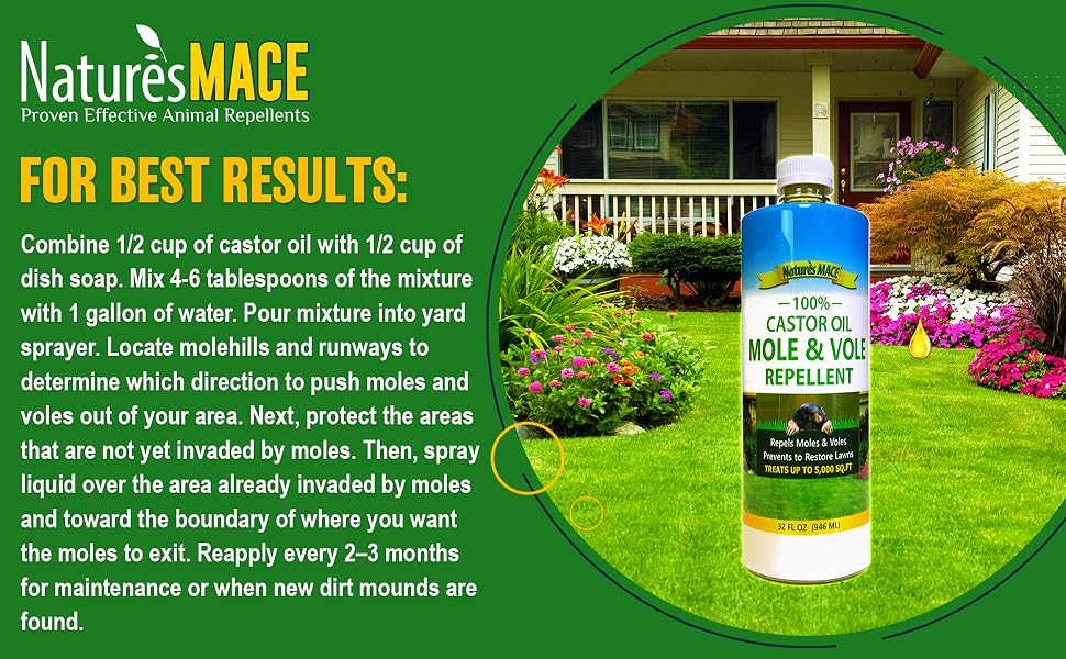 how to get rid of voles in lawn mole repellent how to get rid of voles moles garden lawn yard killer