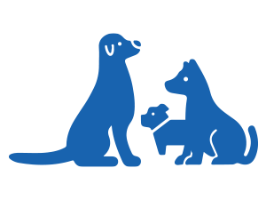 OUT! PetCare, dog pad holder, puppy pad tray, training pad holder, pee pad tray, potty training