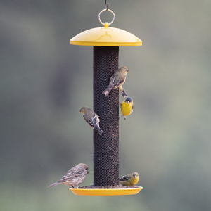 thistle feeder, finch feeder