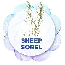 amvilab supplemments, improve your own health