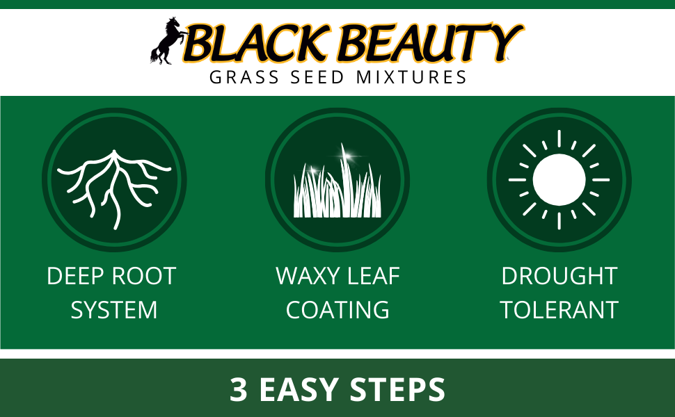 jonathan green black beauty dense shade grass seed