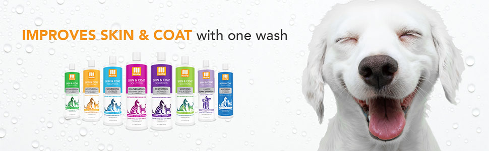 pet shampoo, dog shampoo, nootie