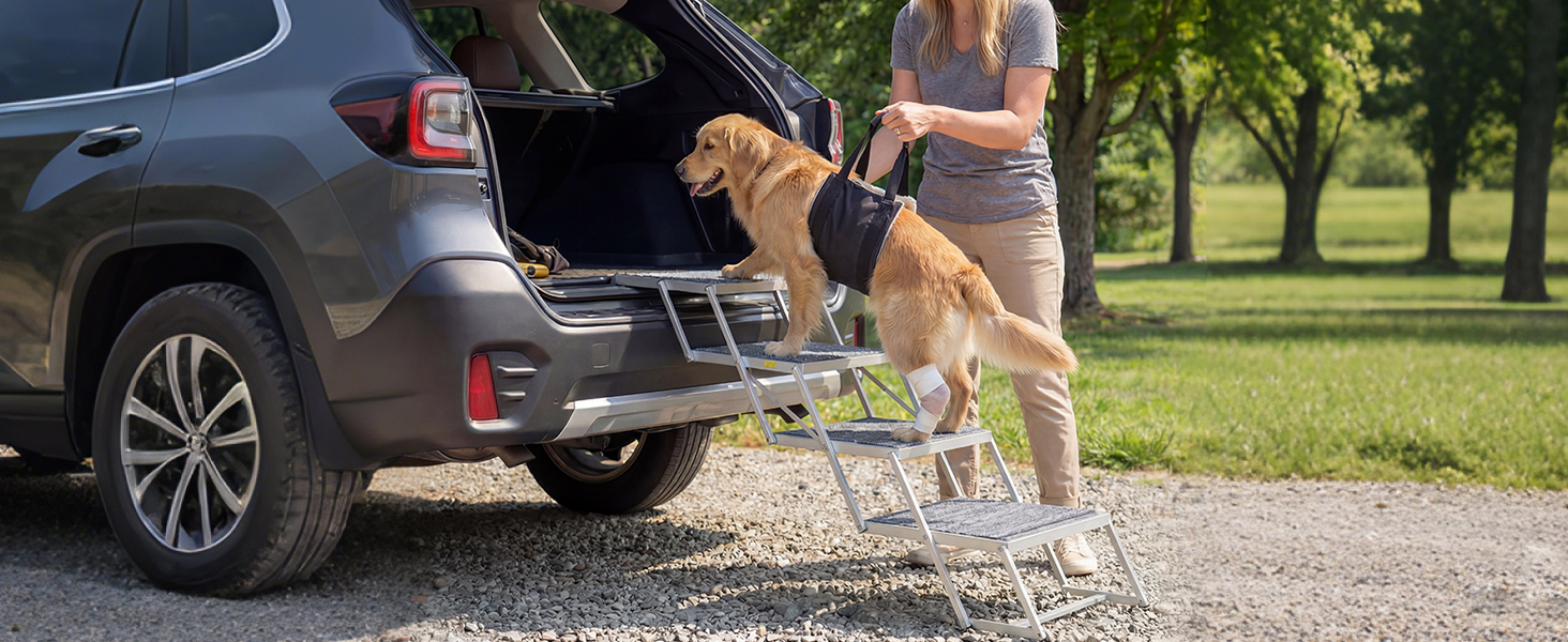 dog stairs for large senior injured dogs