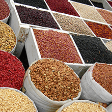 spices, herbs, pasta, rice, beans, snacks, chips, cookies, honey, maple syrup BPA-free sealing caps