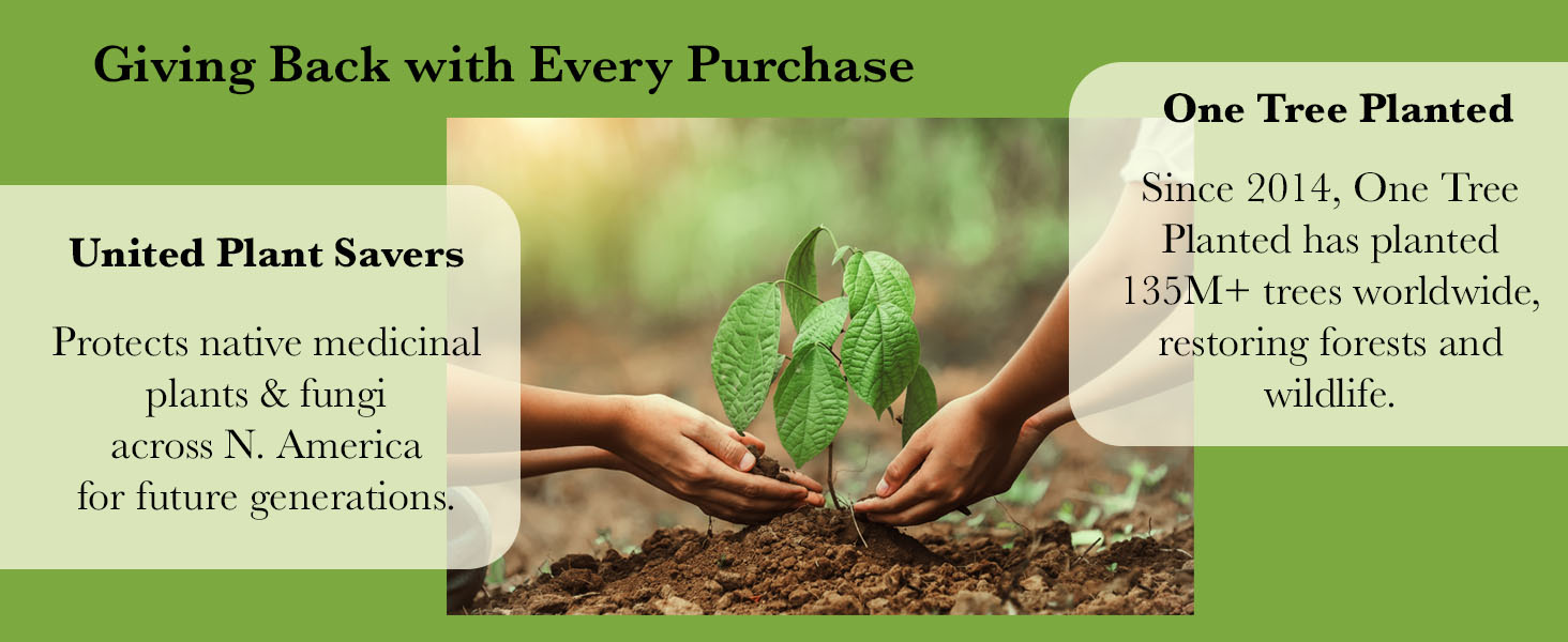 A portion of every purchase is donated to One Tree Planted and United Plant Savers.