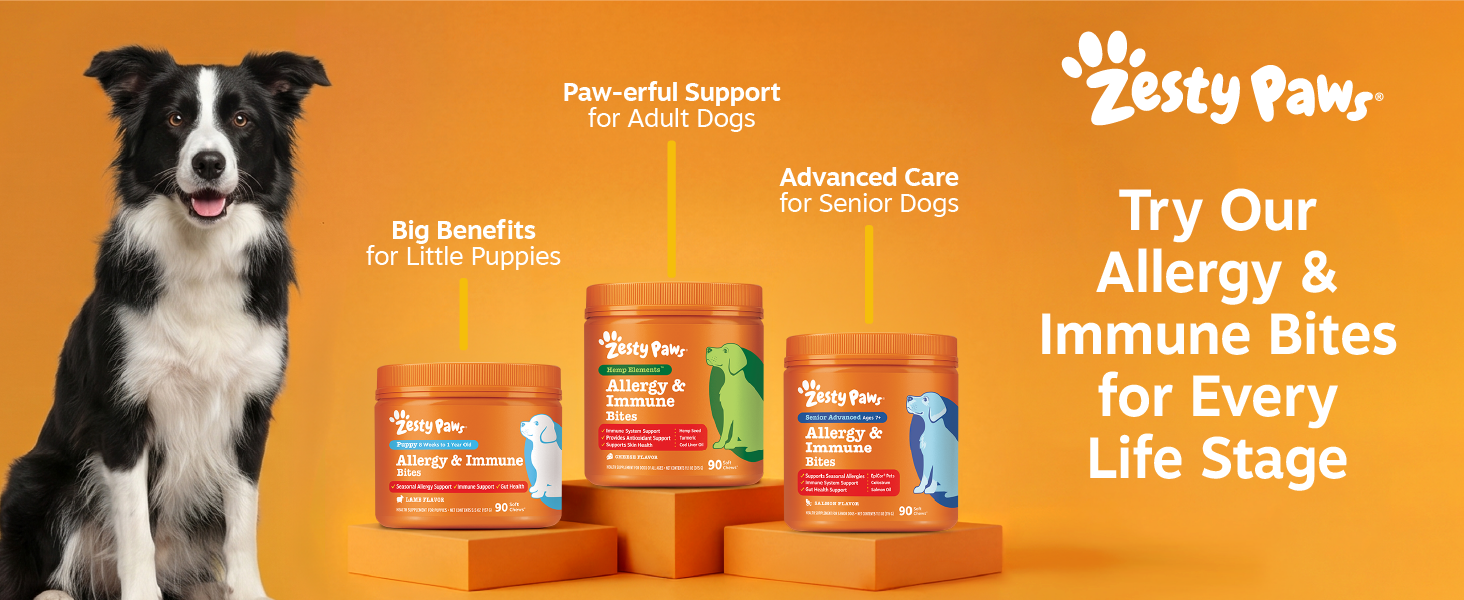 allergy support for dogs