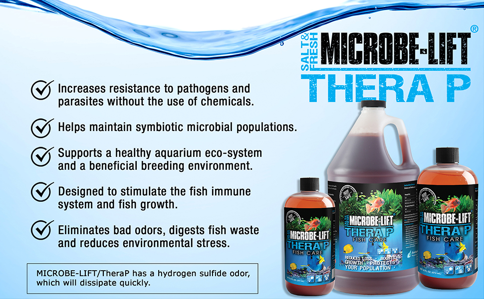 therap banner 2