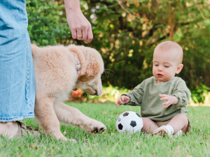 family in yard with dog