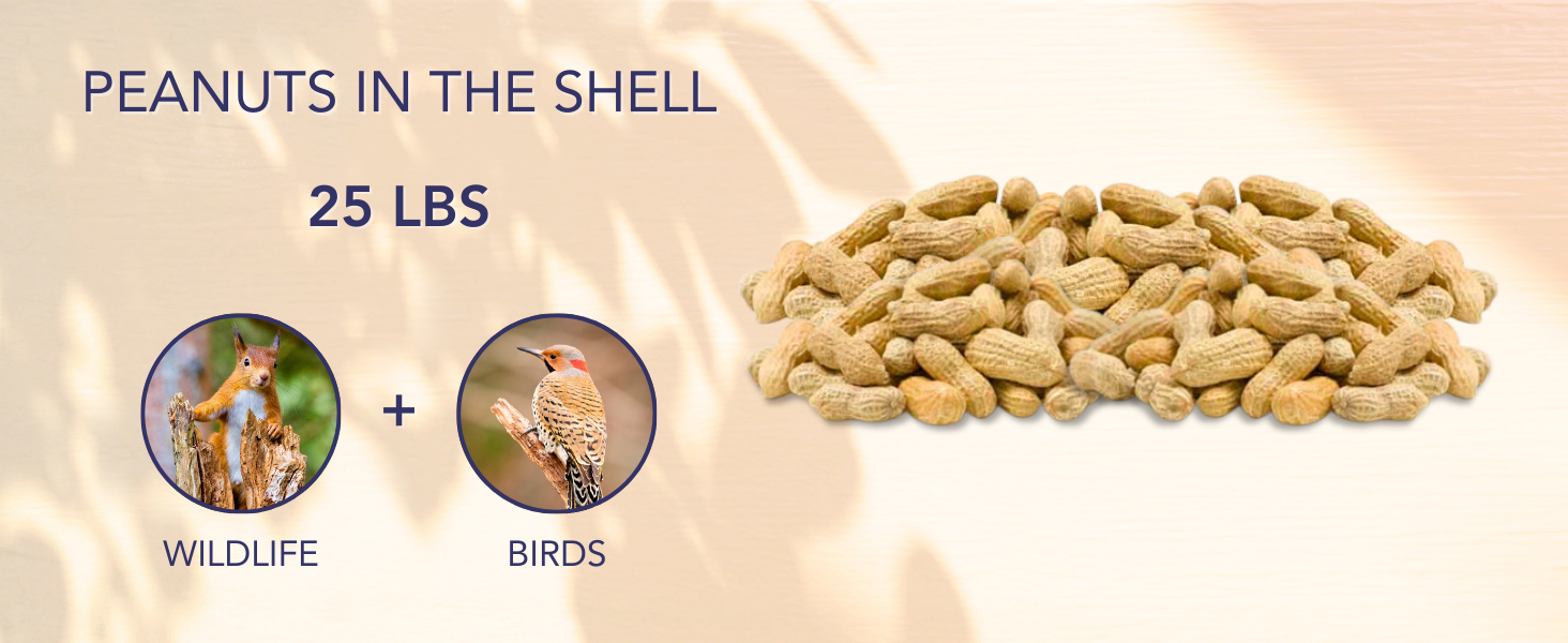 Peanuts in the Shell, 25 lbs.