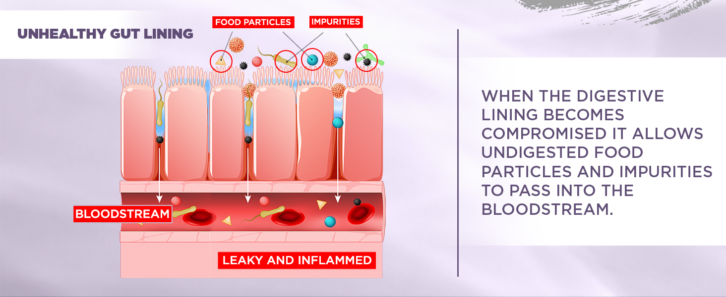 leaky gut powder glutamine intestinal permeability l-glutamine gas bloating chronic diarrea bowel