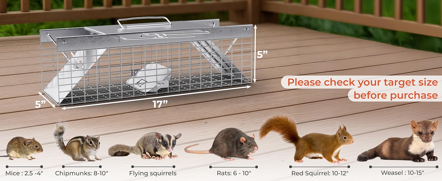small animal traps for squirrels