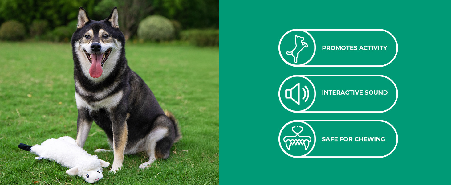 the dog toy promotes activity, has interactive sound, and is safe for chewing