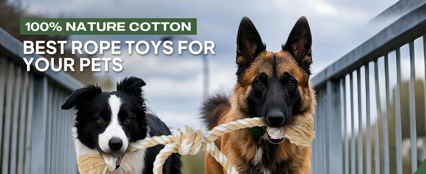 dog toys for aggressive chewers