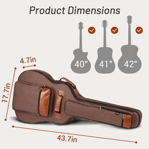 guitar bag