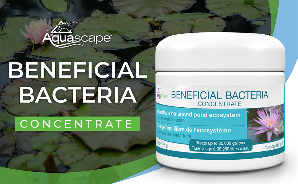 Beneficial Bacteria Concentrate