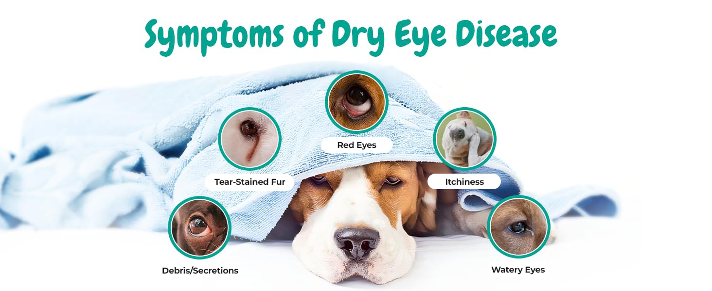 i-drops for dogs
