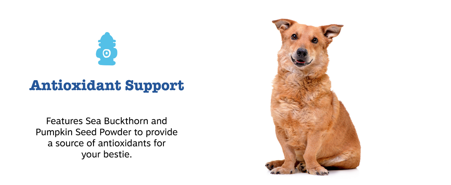 Antioxidant support